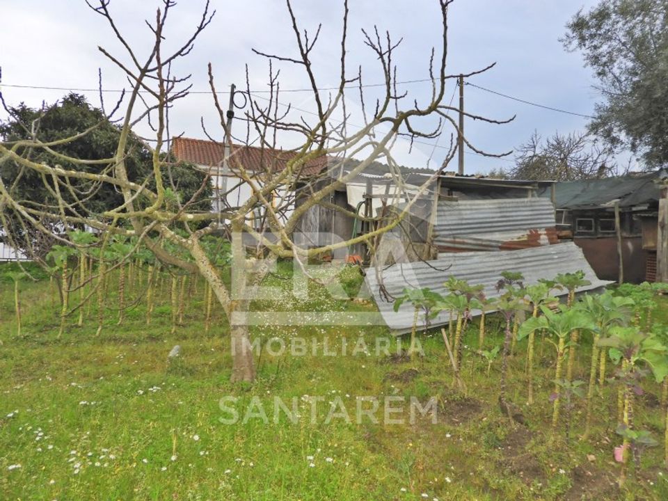 Helårsgrund i Chamusca, Santarem - foto 5
