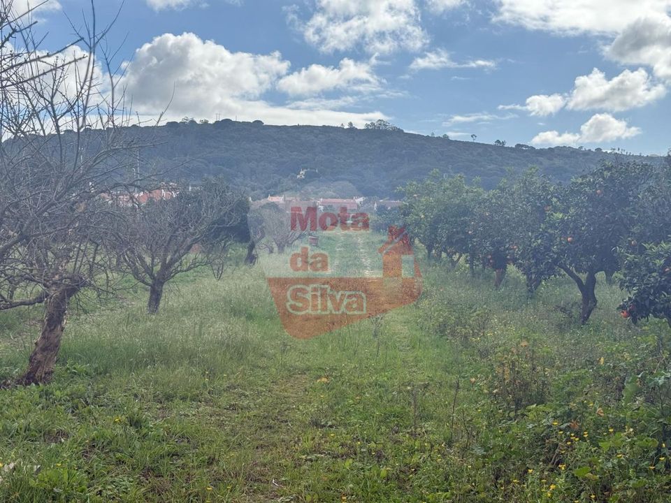 Helårsgrund i Palmela, Setubal - foto 1