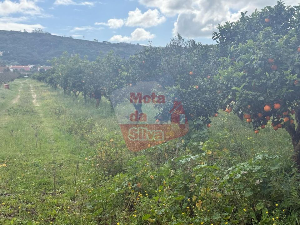 Helårsgrund i Palmela, Setubal - foto 2