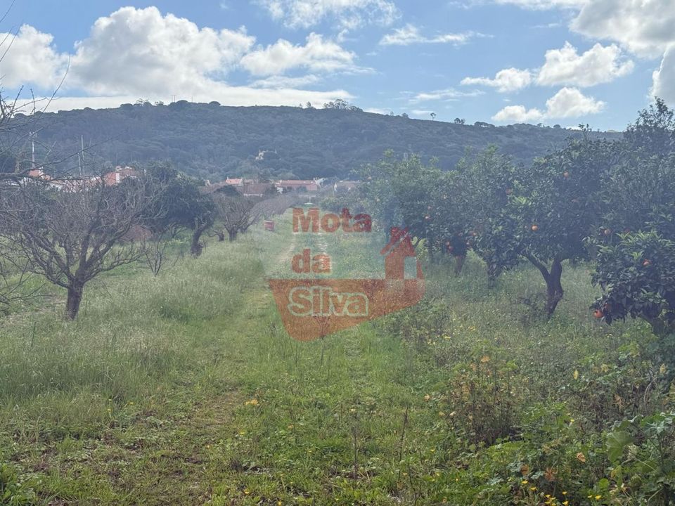Helårsgrund i Palmela, Setubal - foto 3