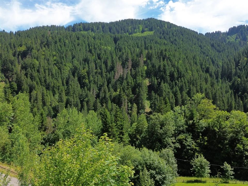 Helårsgrund i La Cote-d'Arbroz, Haute-Savoie - foto 2