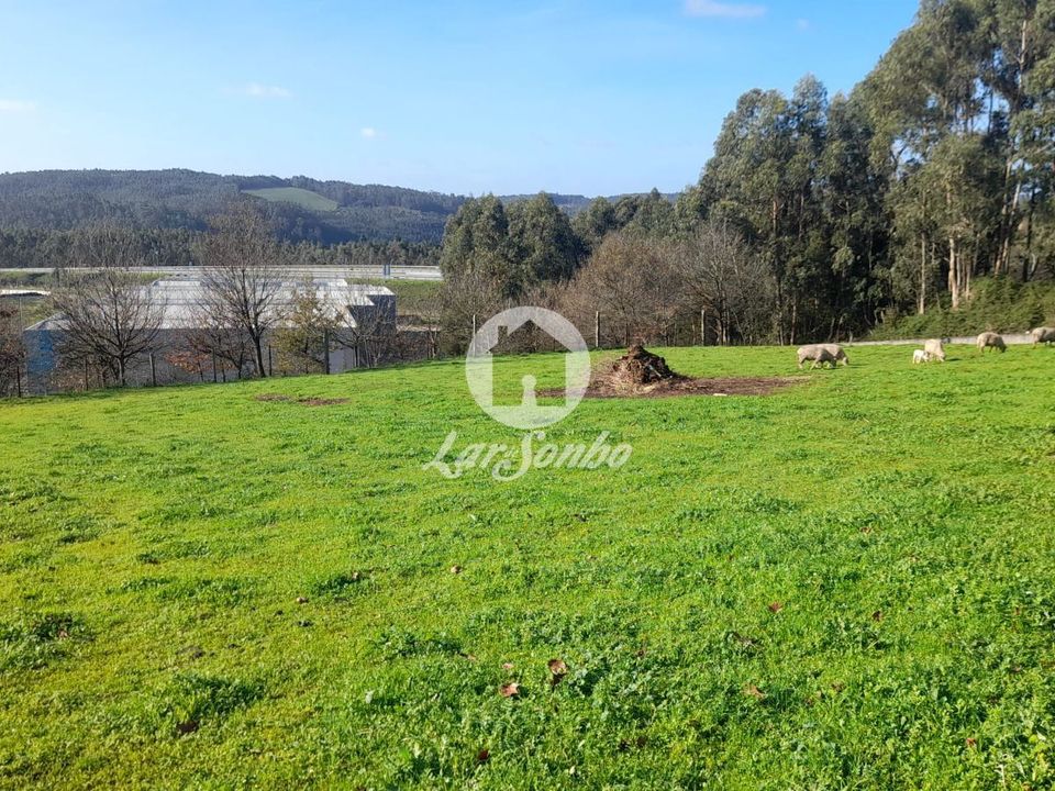 Helårsgrund i Vila Nova de Famalicao, Braga - foto 1
