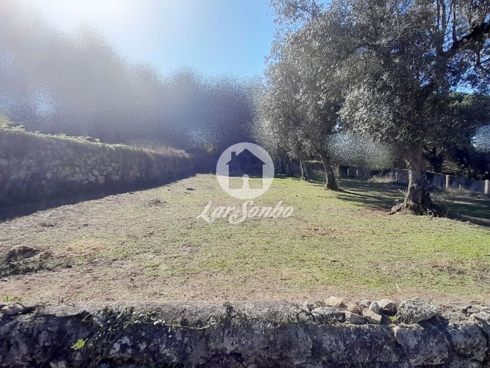 Farm i Vila do Conde, Porto - foto 5