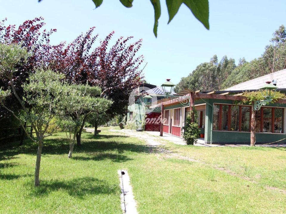 Farm i Vila Nova de Famalicao, Braga - foto 1