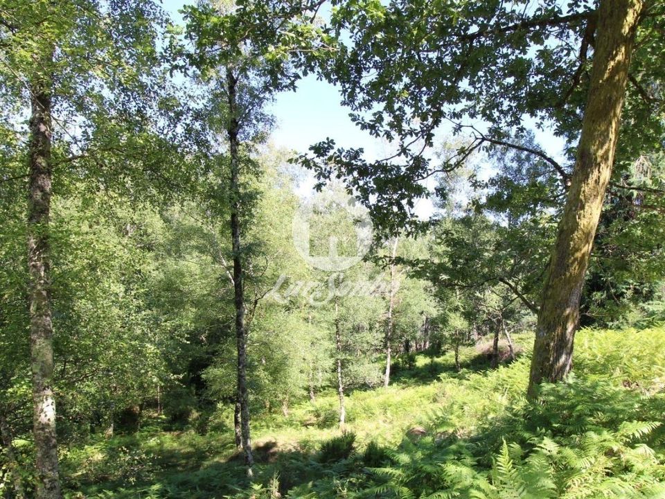 Helårsgrund i Terras de Bouro, Braga - foto 3