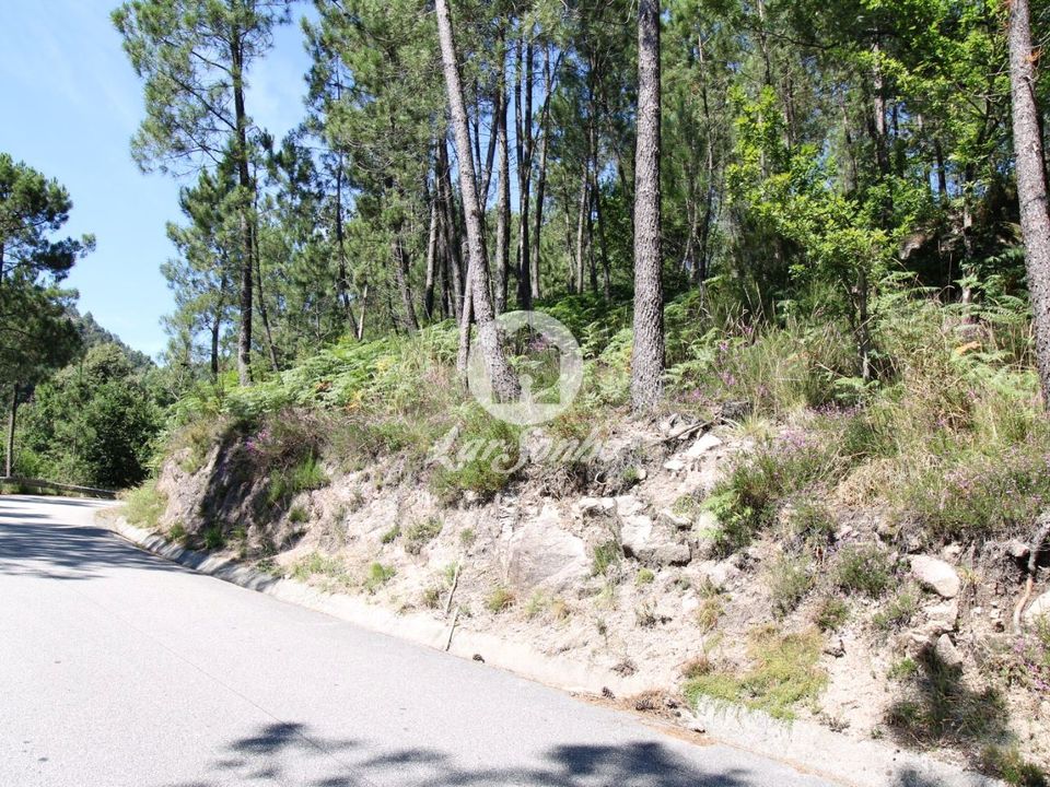 Helårsgrund i Terras de Bouro, Braga - foto 1