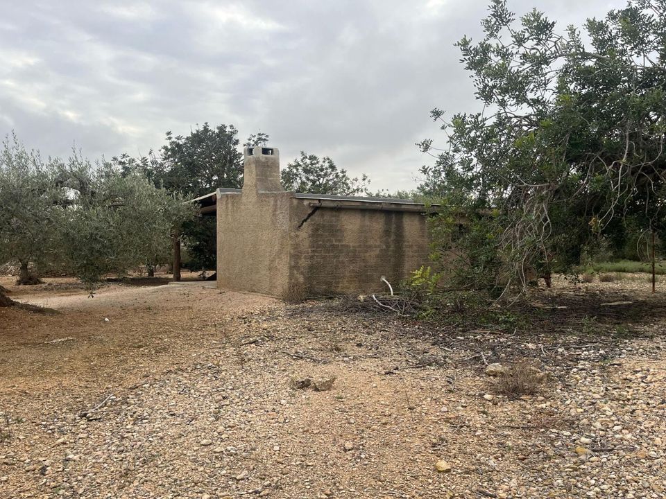 Landejendom i L'Ampolla, Tarragona - foto 2