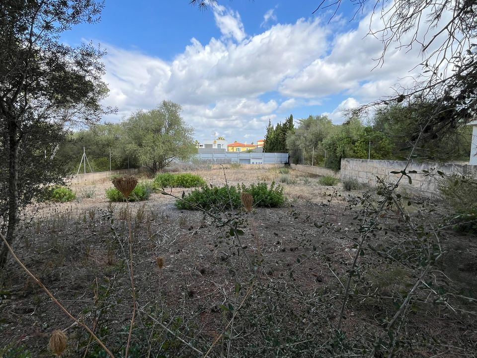 Helårsgrund i Porto Cristo, Mallorca - foto 5