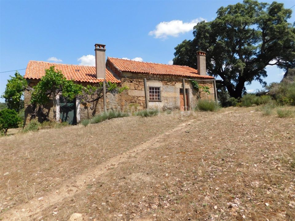 Farm i Fundao, Castelo Branco - foto 1