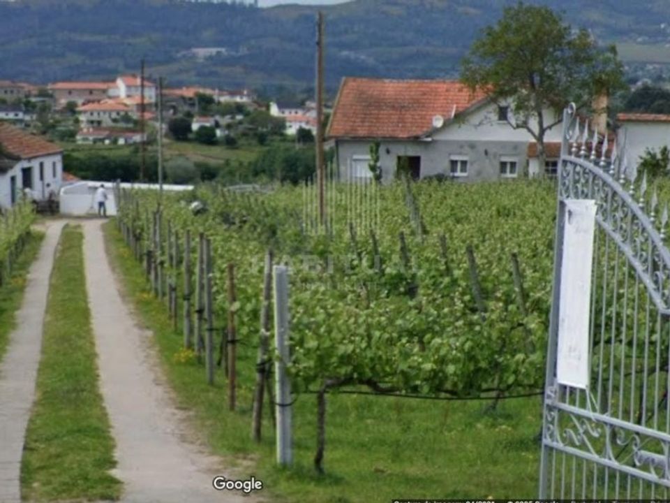 Farm i Moncao, Viana do Castelo - foto 2