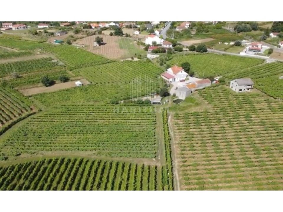 Farm i Moncao, Viana do Castelo - foto 3