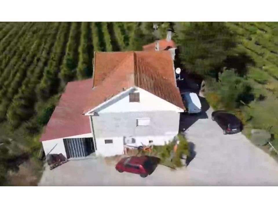Farm i Moncao, Viana do Castelo - foto 4