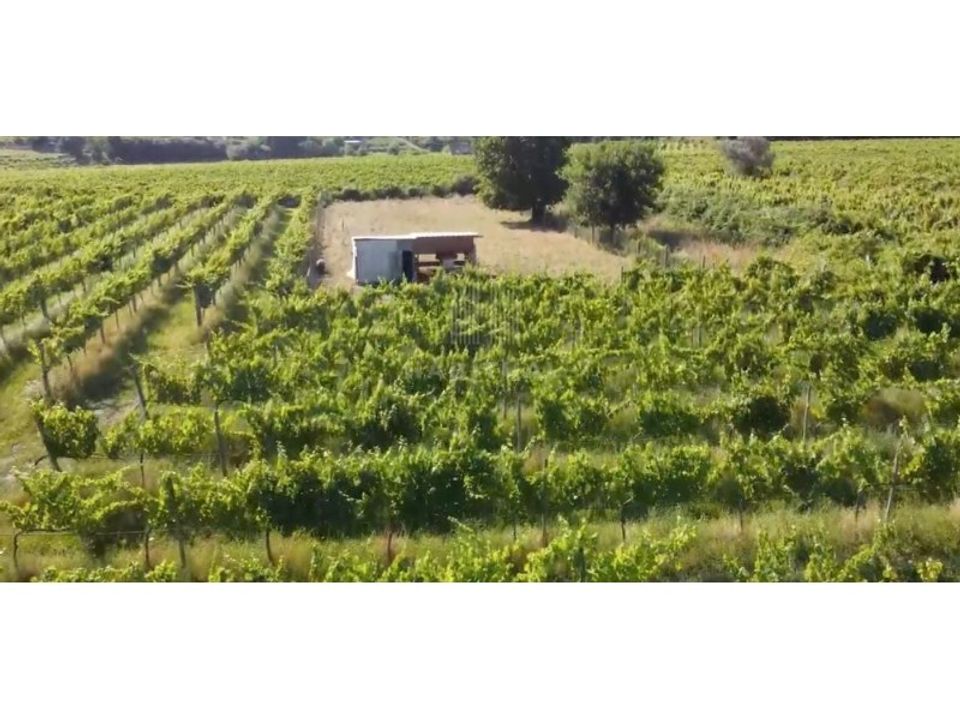 Farm i Moncao, Viana do Castelo - foto 5