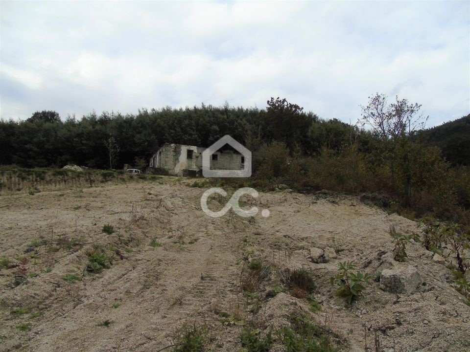 Farm hus i Celorico de Basto, Braga - foto 4