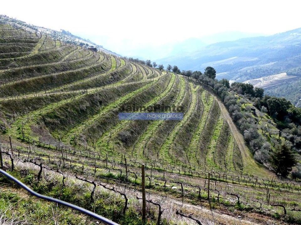 Terra a Sabrosa, Vila Real - foto 1