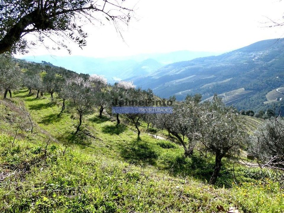 Terra a Sabrosa, Vila Real - foto 3