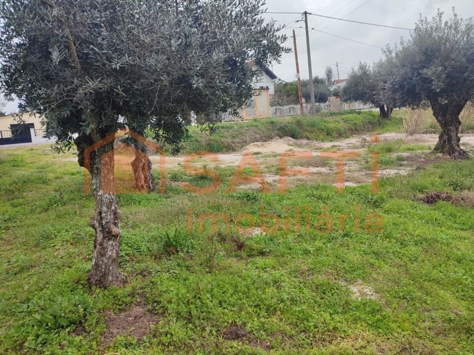 Helårsgrund i Ourem, Santarem - foto 5