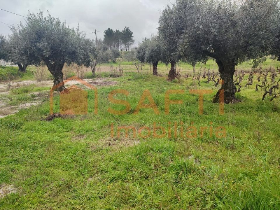 Helårsgrund i Ourem, Santarem - foto 4
