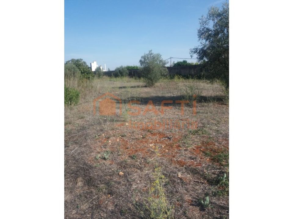 Helårsgrund i Torres Novas, Santarem - foto 1