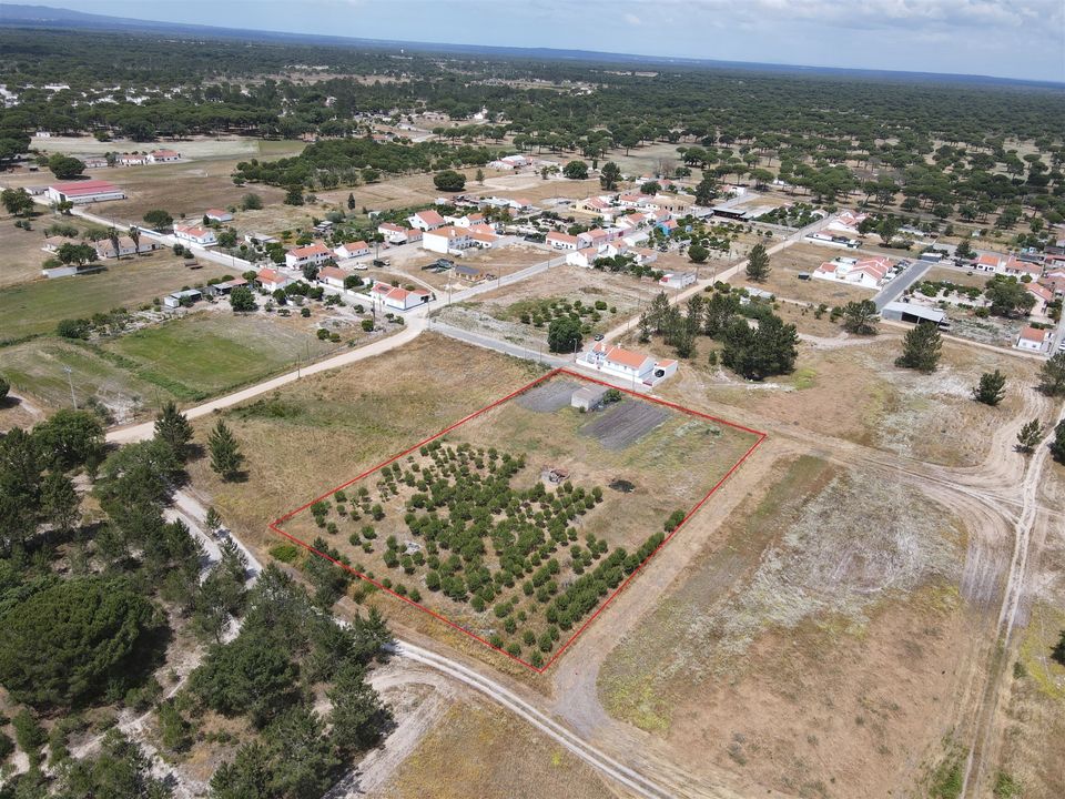 Farm i Alcacer do Sal, Setubal - foto 3