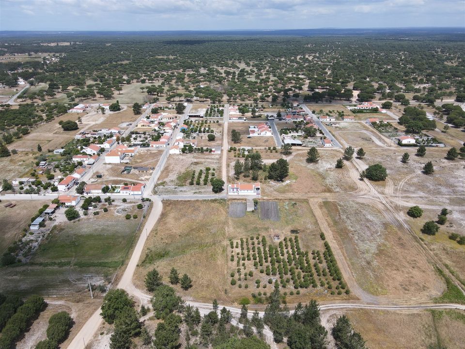 Farm i Alcacer do Sal, Setubal - foto 4
