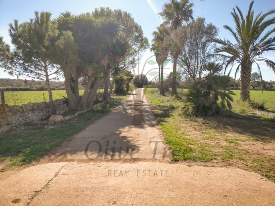 Gård i Felanitx, Mallorca - bilde 2
