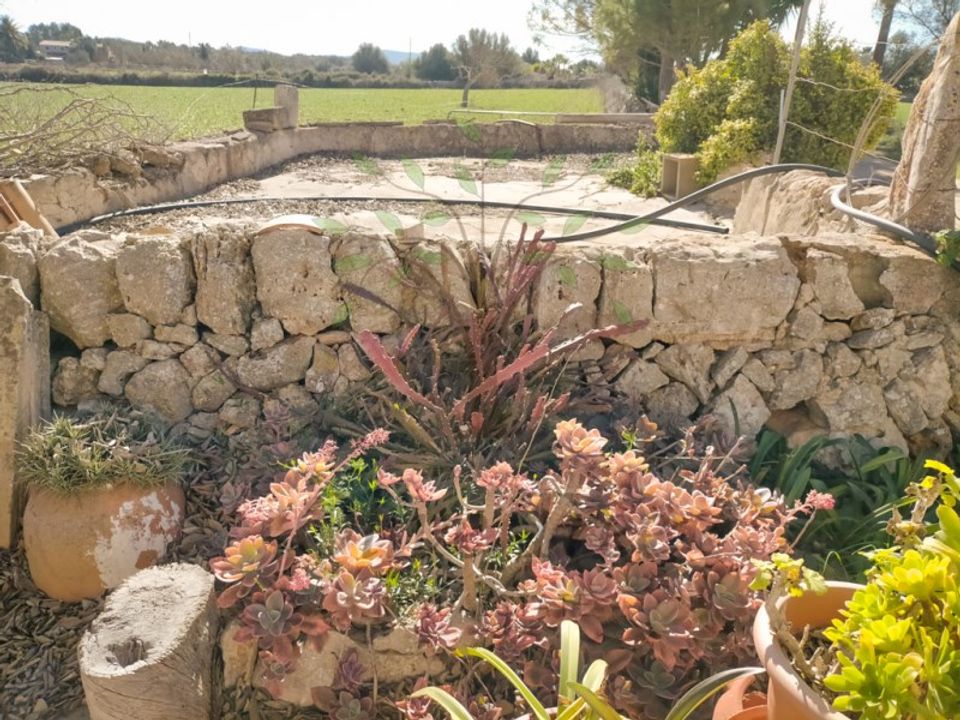 Gård i Felanitx, Mallorca - bilde 3