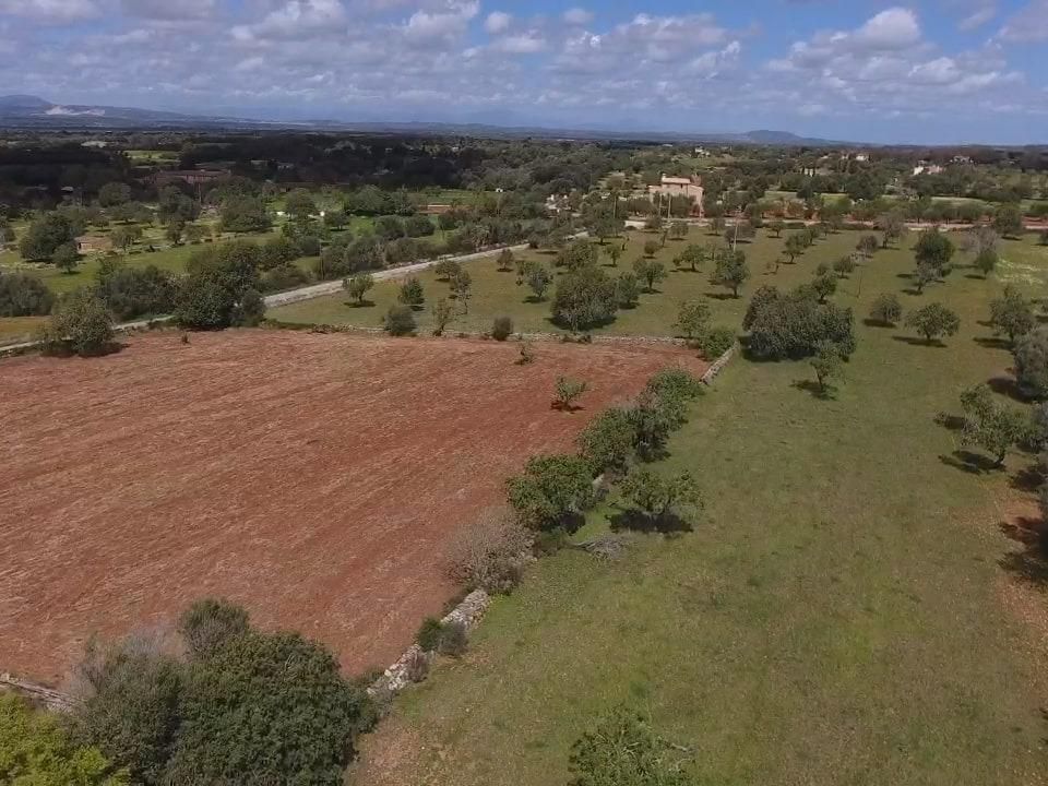 Helårsgrund i Felanitx, Mallorca - foto 2