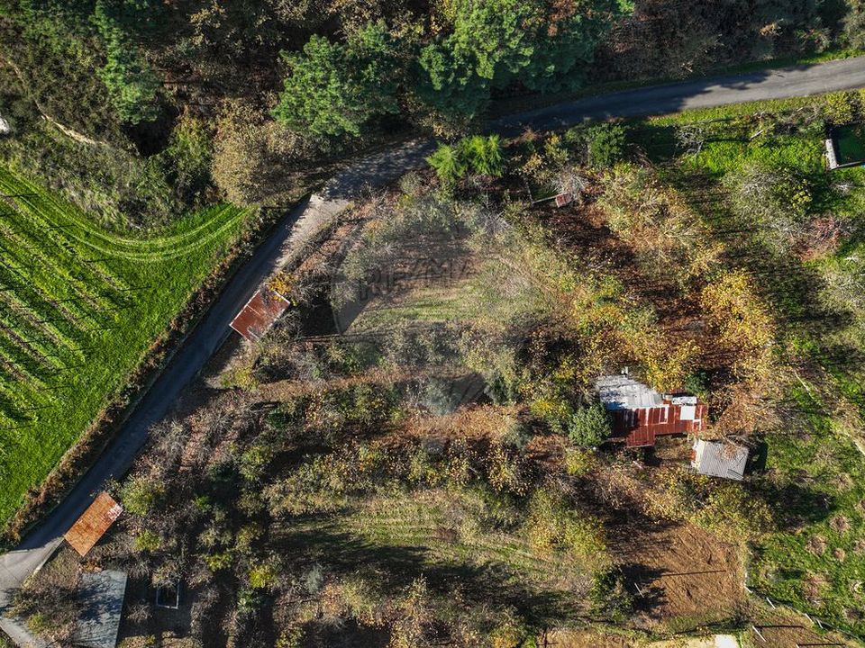 Villa i Celorico de Basto, Braga - bilde 1