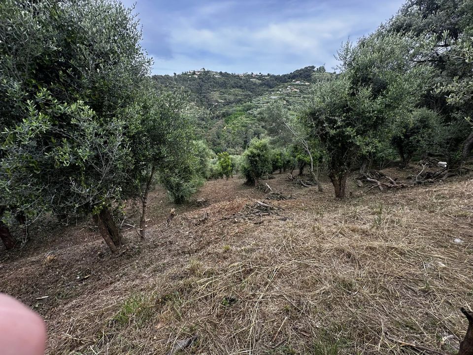 Terreno en Nice, Alpes-Maritimes - foto 2