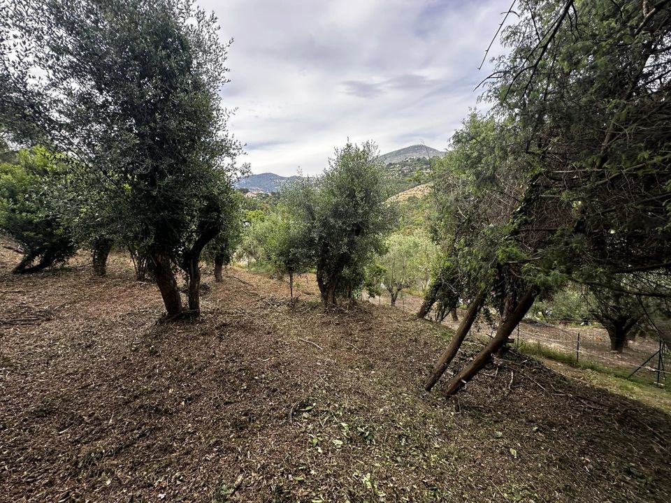 Terreno en Nice, Alpes-Maritimes - foto 5