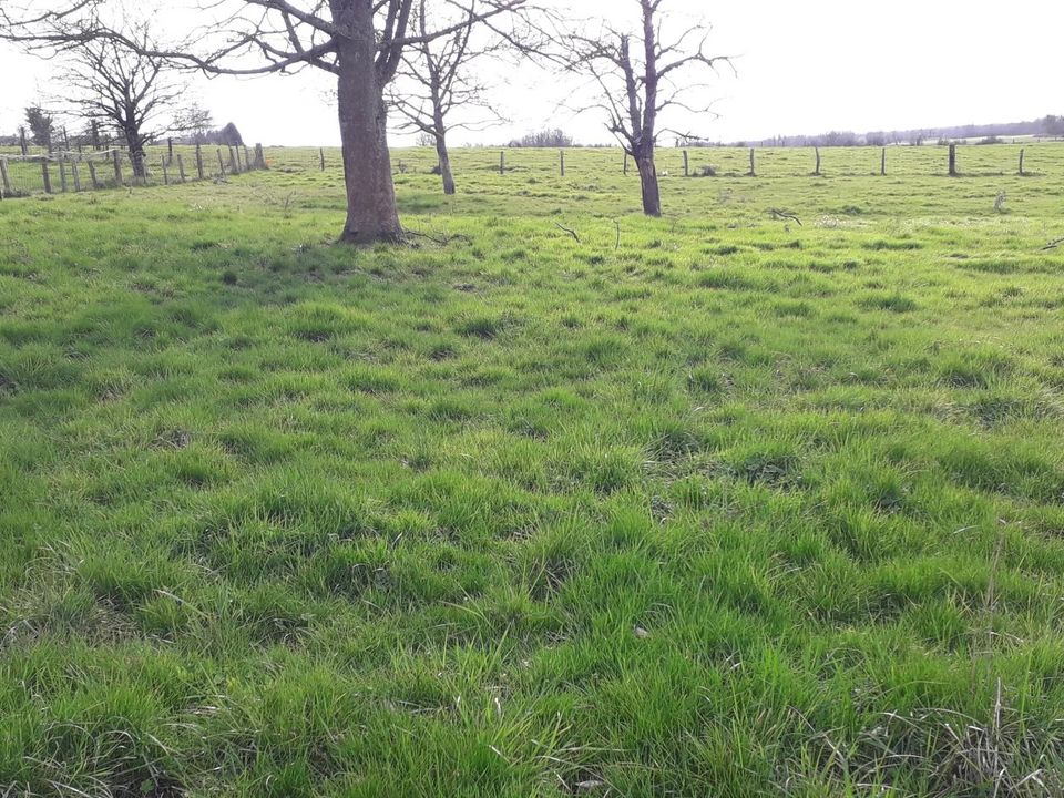 Helårsgrund i Villers-le-Sec, Marne - foto 2