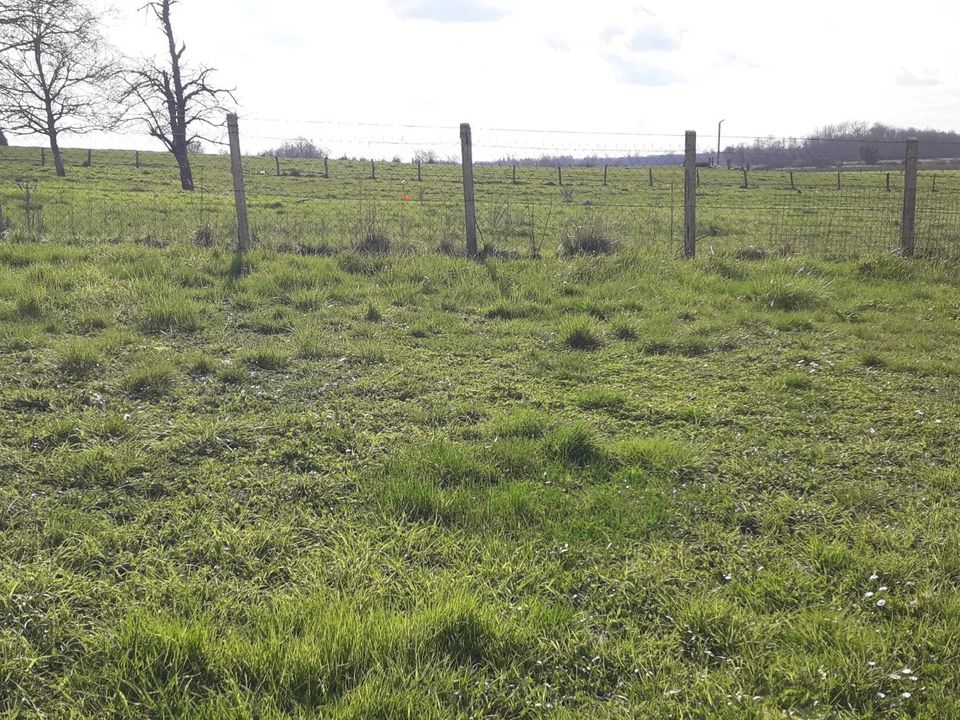 Helårsgrund i Villers-le-Sec, Marne - foto 4