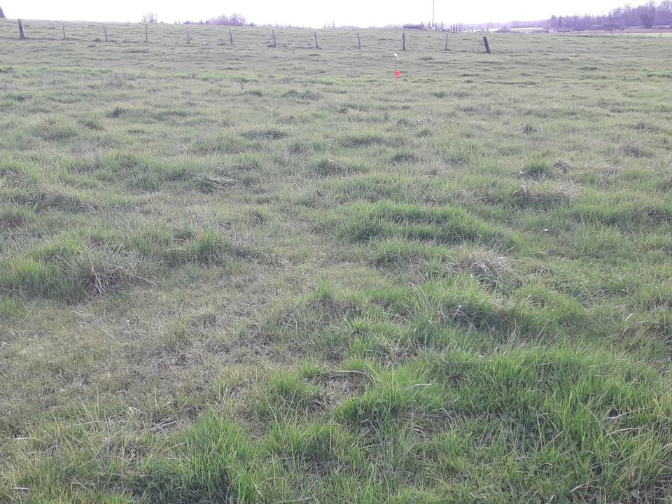 Helårsgrund i Villers-le-Sec, Marne - foto 2