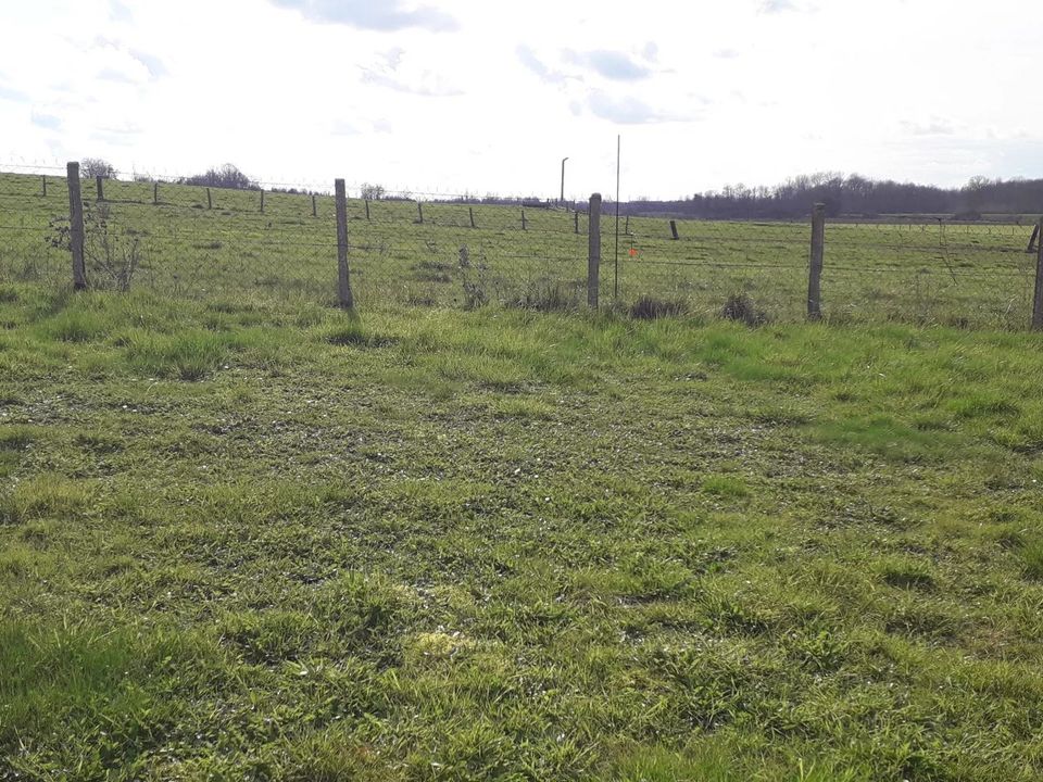 Helårsgrund i Villers-le-Sec, Marne - foto 1