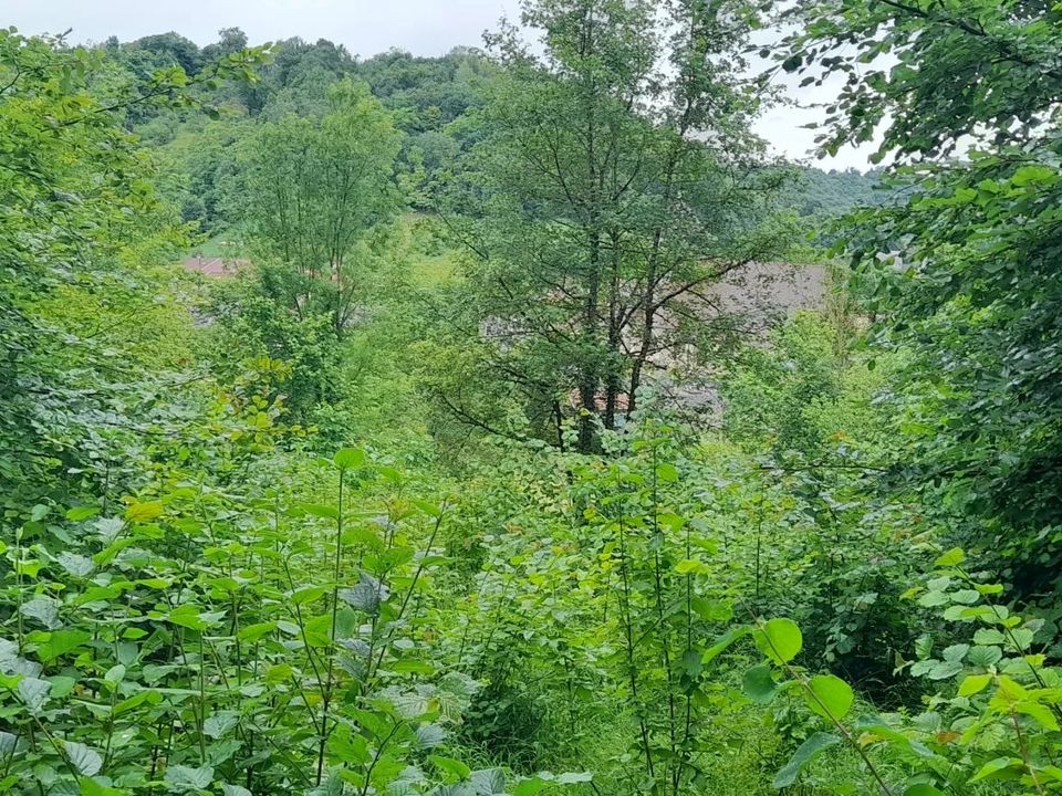 Helårsgrund i Fains-Véel, Meuse - foto 4