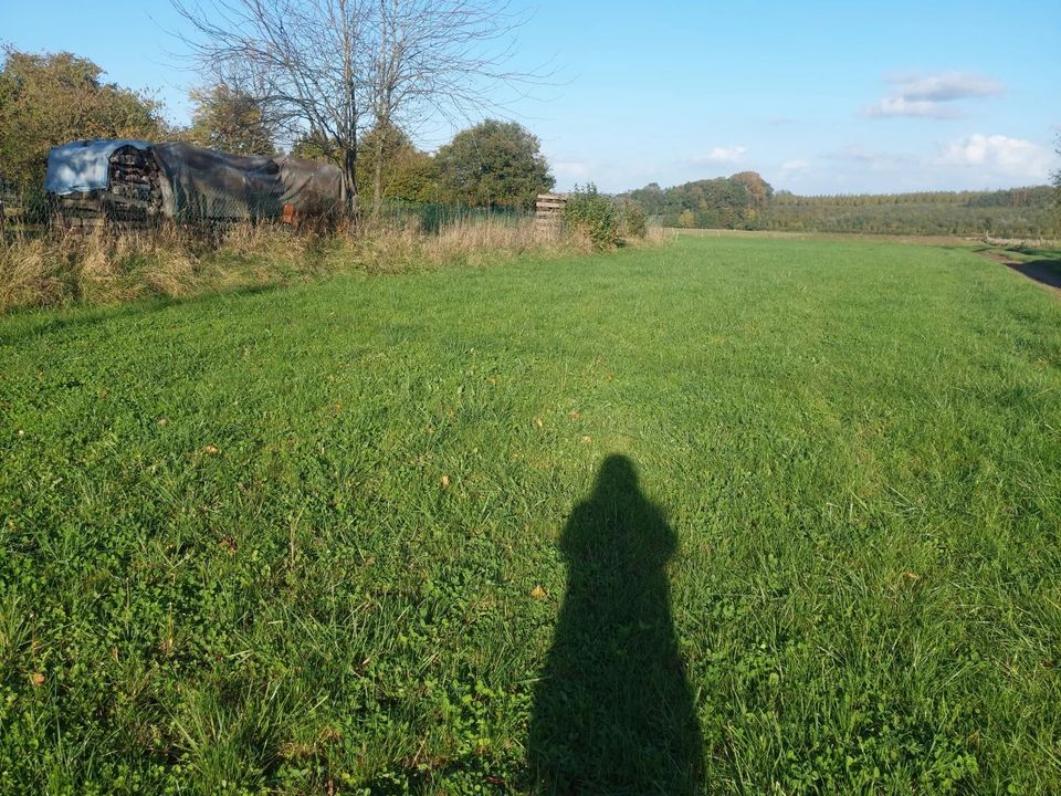 Helårsgrund i Beaumont-en-Beine, Aisne - foto 1