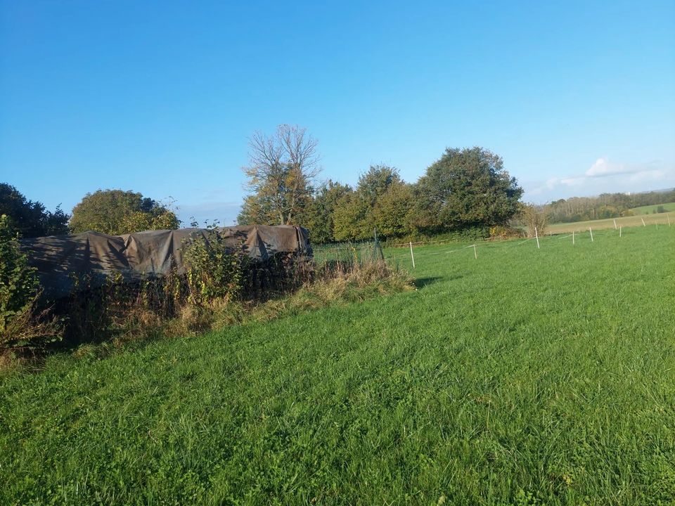 Helårsgrund i Beaumont-en-Beine, Aisne - foto 2