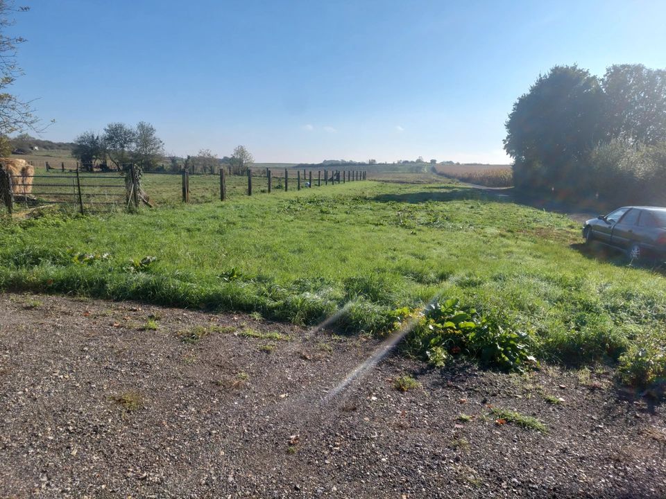 Helårsgrund i Canny-sur-Matz, Oise - foto 3