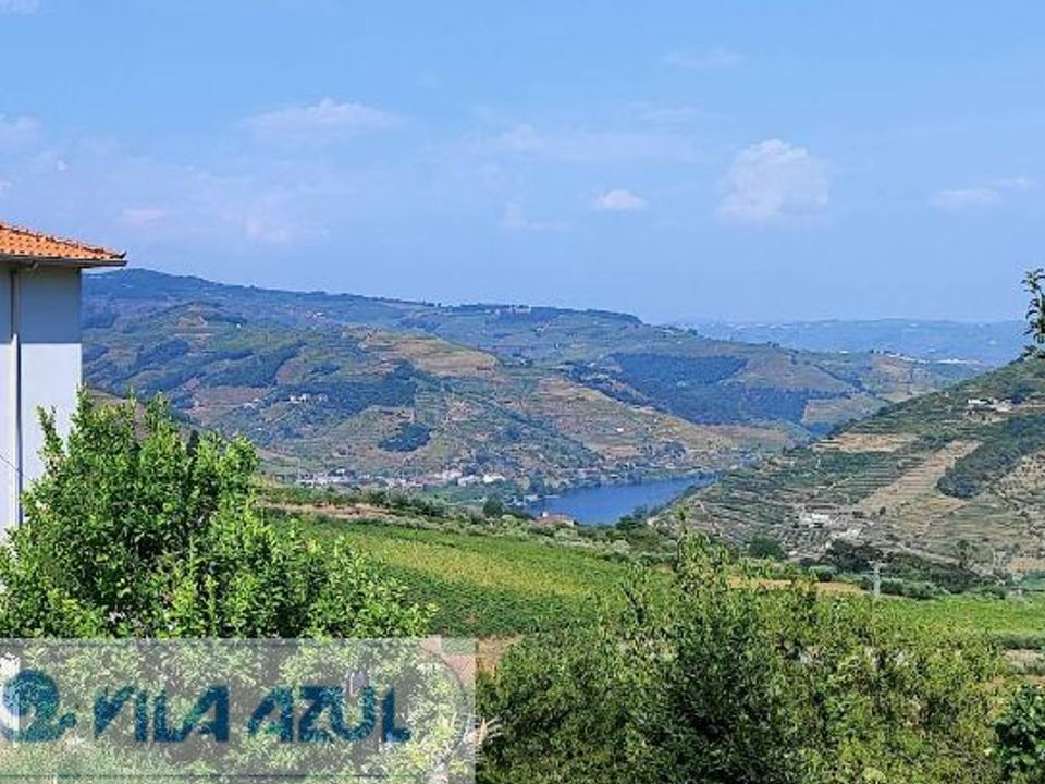 Farm i Mesao Frio, Vila Real - foto 4