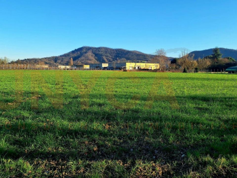 Helårsgrund i Torreglia, Padua - foto 2