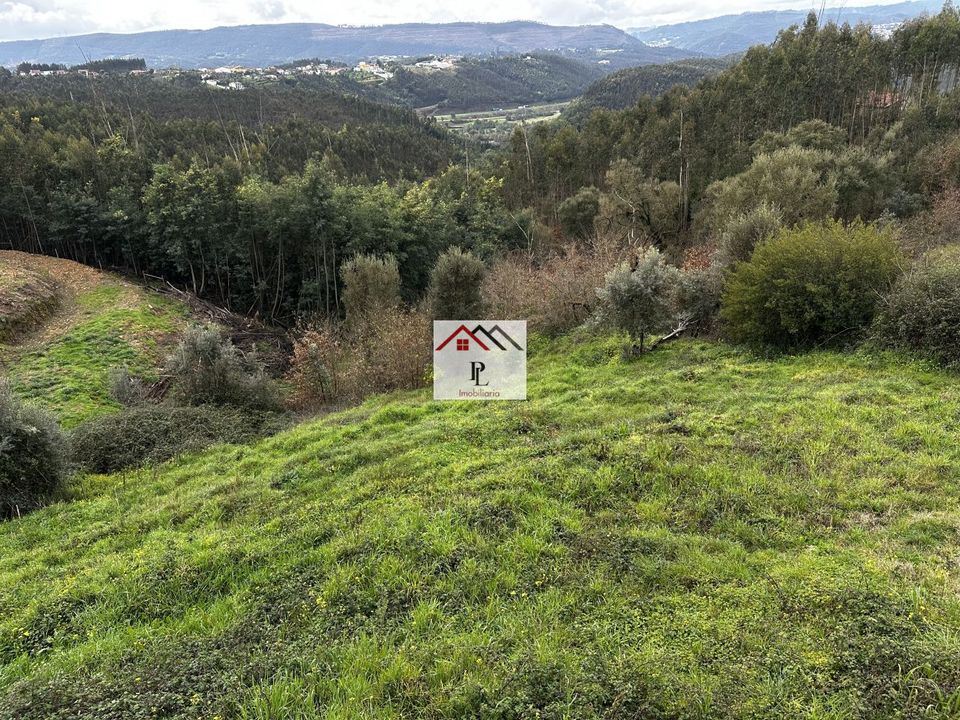 Tomt i Penacova, Coimbra - bilde 4