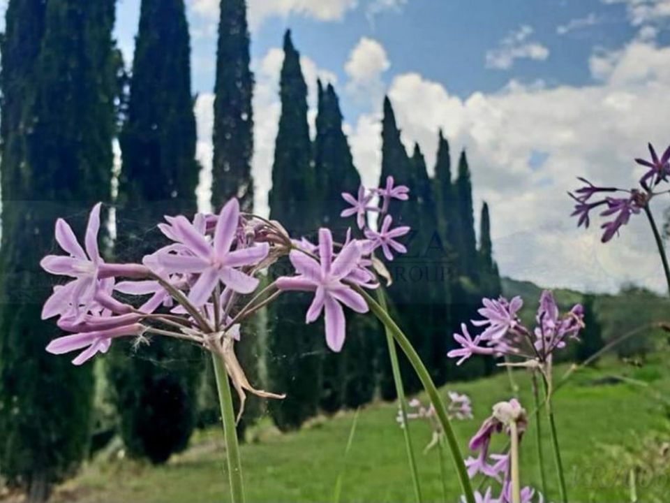 Landejendom i San Casciano in Val di Pesa, Florence - foto 3