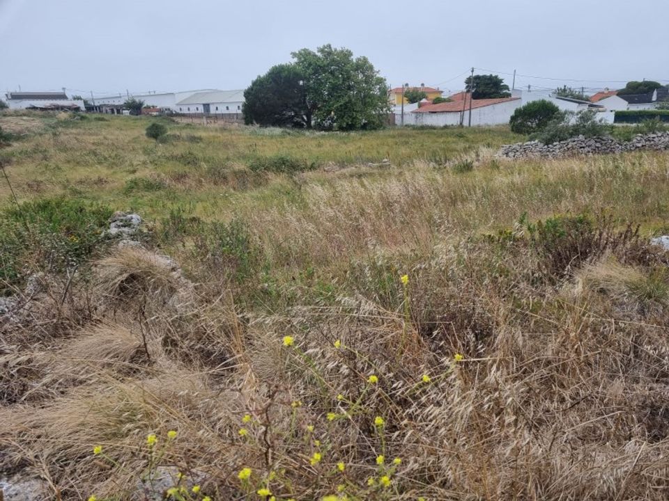 Helårsgrund i Sao Joao das Lampas e Terrugem, Lisbon - foto 2