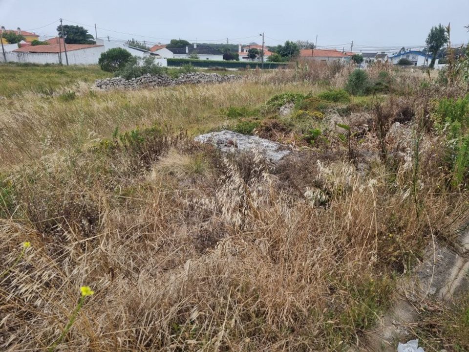 Helårsgrund i Sao Joao das Lampas e Terrugem, Lisbon - foto 3