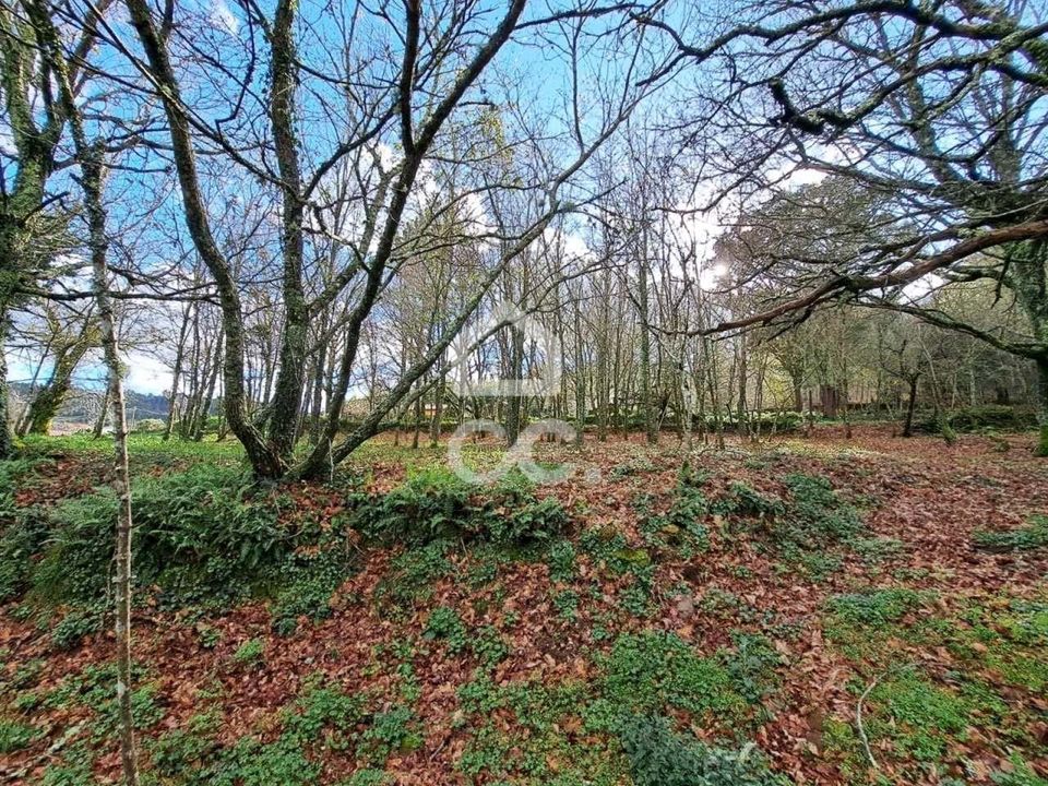 Masia a Vouzela, Viseu - foto 2
