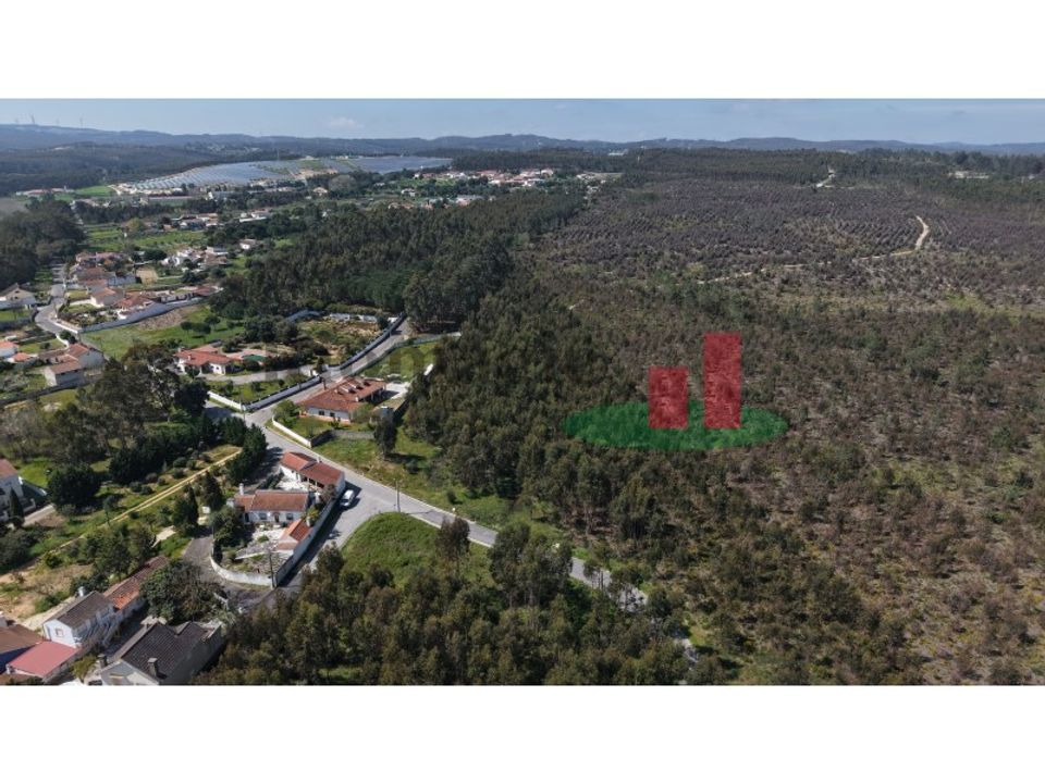 Helårsgrund i Asseiceira, Santarem - foto 4
