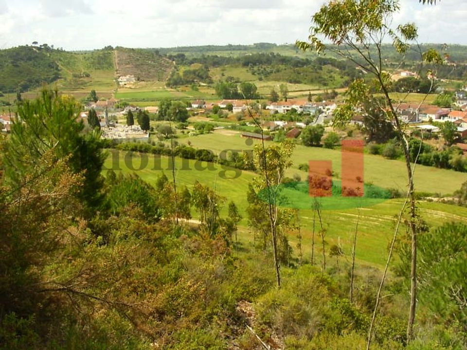 Helårsgrund i Rio Maior, Santarem - foto 2