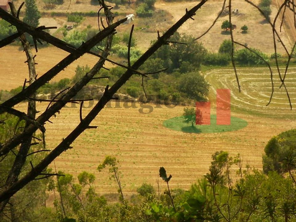 Helårsgrund i Rio Maior, Santarem - foto 5