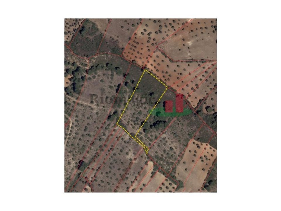 Terra em Minde, Santarem - foto 1